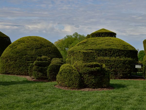 Topiary garden Longwood Gardens in Kennett Square, Pennsylvania