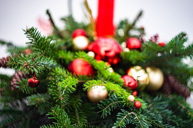 Christmas festive composition of close up of pine center piece
