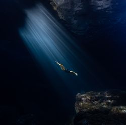 Silhouette of a person diving