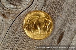 Fine gold Buffalo Coin on rustic wood bG7VBb