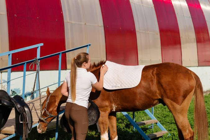 Woman saddling up chestnut horse