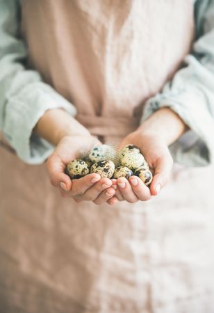 Close up of woman holding fresh speckled bird eggs