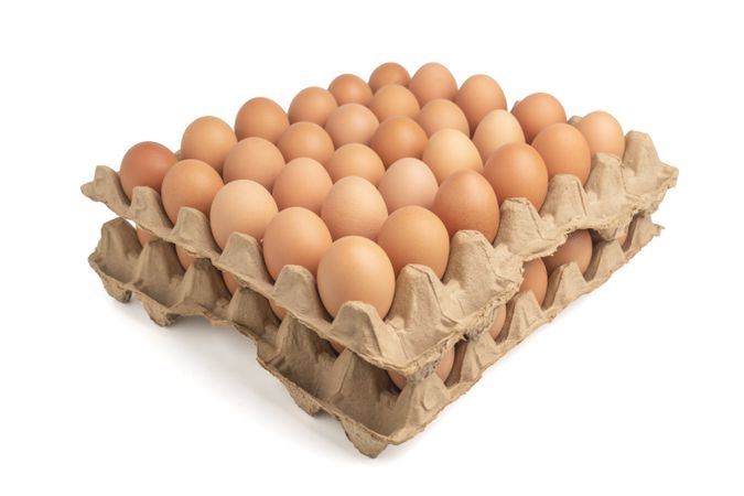 egg tray