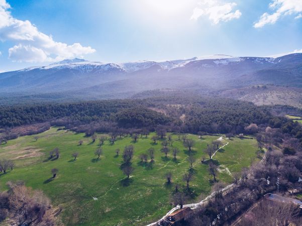 Forest at majestic mountain valley with snowy peaks in sunshine
