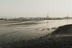 Industrial landscape with sea bay and port cranes