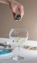 Barman pouring drink to prepare gin tonic cocktail