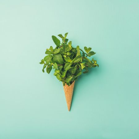 Waffle cone bursting with fresh mint leaves on a pastel green background, square crop