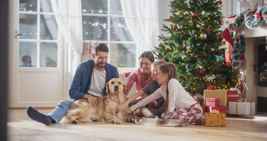 Cute Pet Receiving a Lot of Love and Care on Holiday, Family Bonding Together