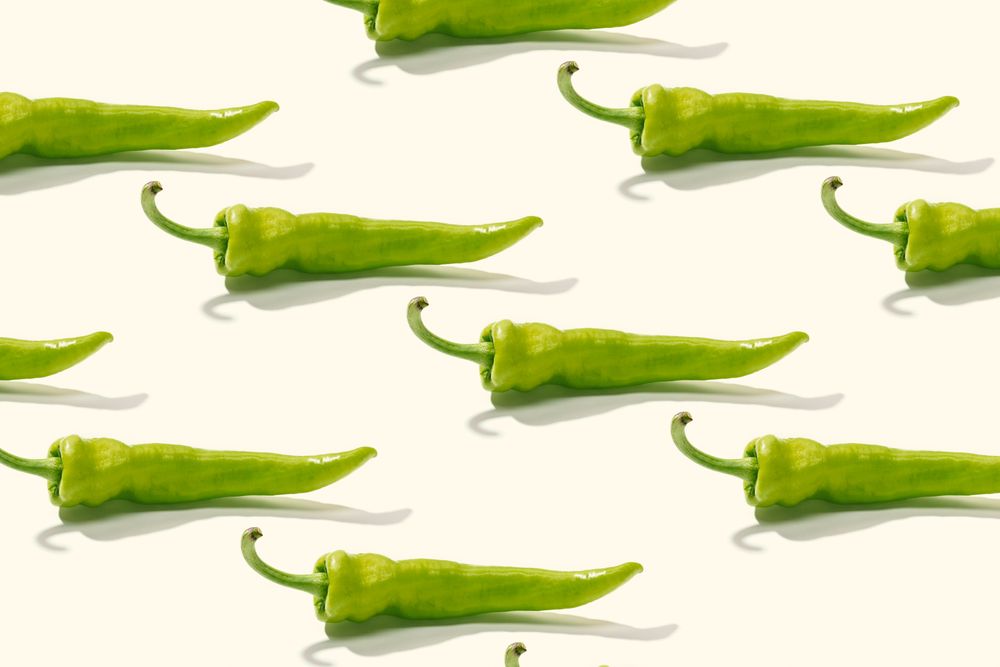 Rows of whole green peppers