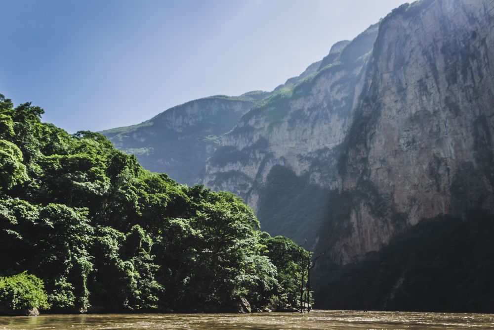 Green trees on mountain near lake under blue sky