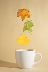 Three autumn yellow leaves floating above a cup