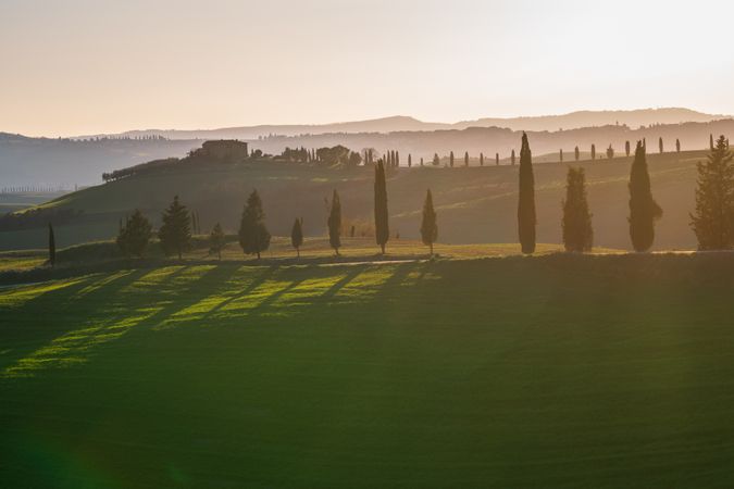 Wonderful empty green fields