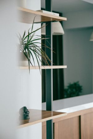 Minimalist Wooden Hanging Shelf with Plant