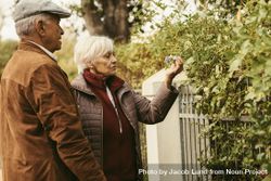 Older woman looking at flowers on a fence while standing with her husband bYgw15