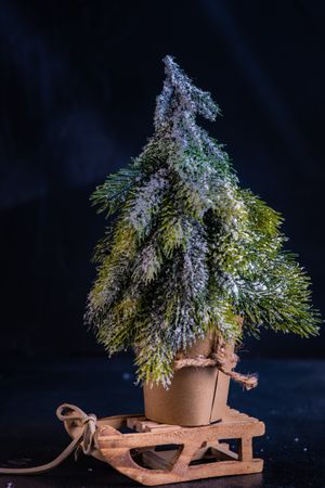 Mini fir tree on ornamental wooden sleigh