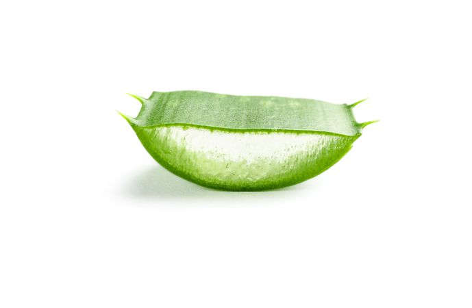 Aloe vera slice isolated on plain background. Herbal medicine