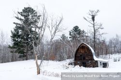 Small wooden barn surrounded by trees on a snowing day 5RpxWb