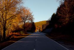 Asphalt road in autumn countryside