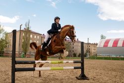 Rider jumping horse over obstacle, equestrian sport.