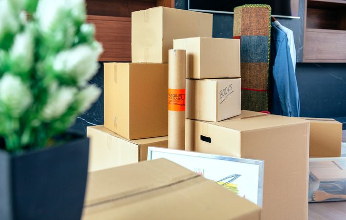 Stacked moving boxes and plant