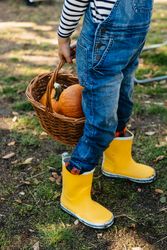 Child in denim overalls collecting pumpkins in yard