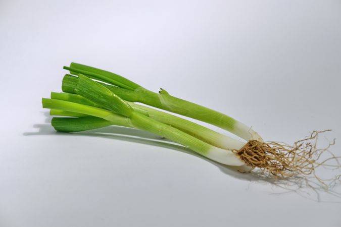 Green onion in wooden bowl isolated