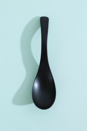 Spoon on Mint Background