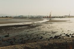 Industrial landscape with sea bay and port cranes