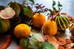 Gourds on trey of autumn leaves