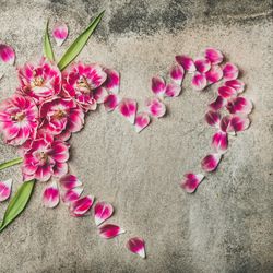 Pink tulips and petals arranged in heart shape on grey concrete surface