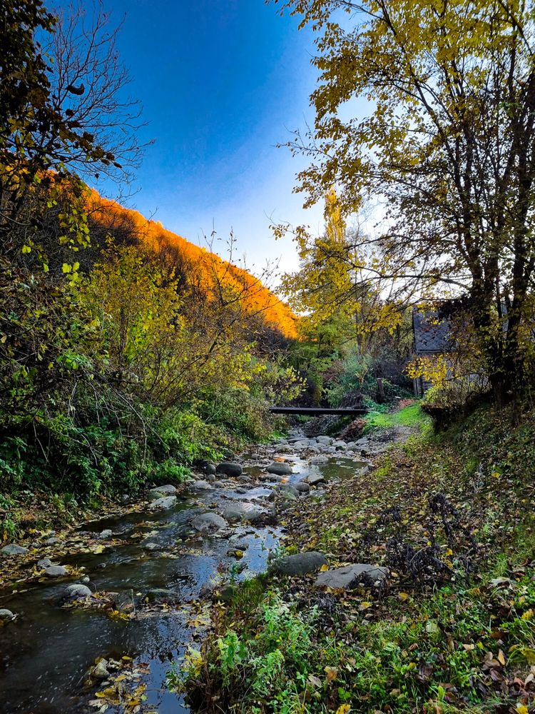 Stream of water in Romanian countryside