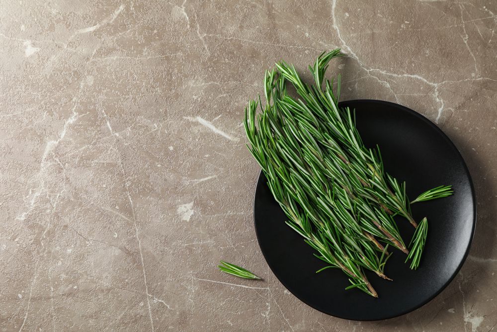 Plate with rosemary on grey table, top view