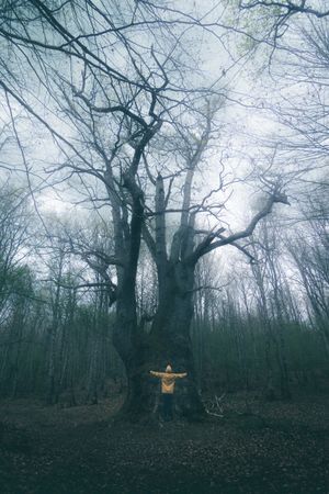 Traveller standing beside old tree covered by moss