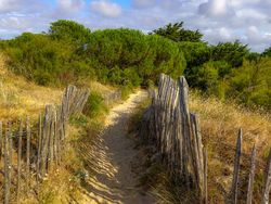 The coastal path at dawn, La Couarde sur Mer, France