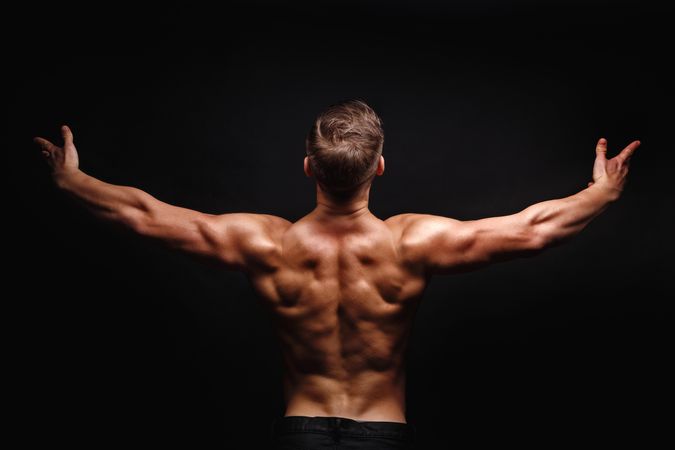 Studio shot of bodybuilders arms, shoulders and back
