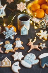 Gingerbread cookies with shades of blue frosting