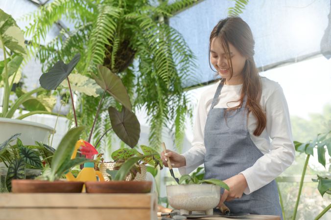 Young woman caring for trees in a greenhouse, planting trees, plant care equipment, planting greenhouses.