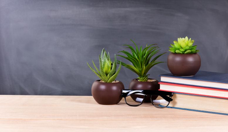 Student desktop with green plants and books with blank board in background