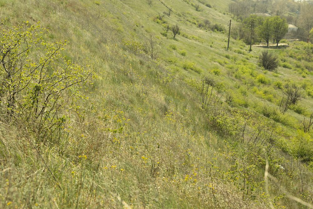 Grassy slopes. Amazing sunny spring day. Photo outdoor