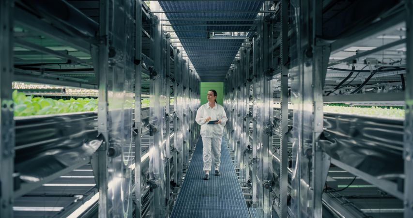Female Farming Technician Walking Between Rows of Produce at a Modern Vertical Farm. Young Horticulturist in Protective Uniform Using Tablet Computer to Organize and Analyze Plant Information