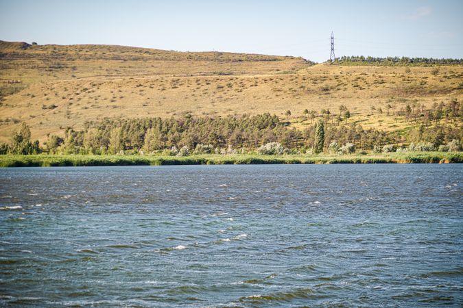 Cane plant on the Lisi lake