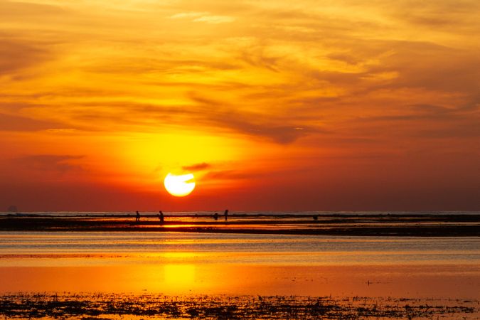 Sunset Golden Hour