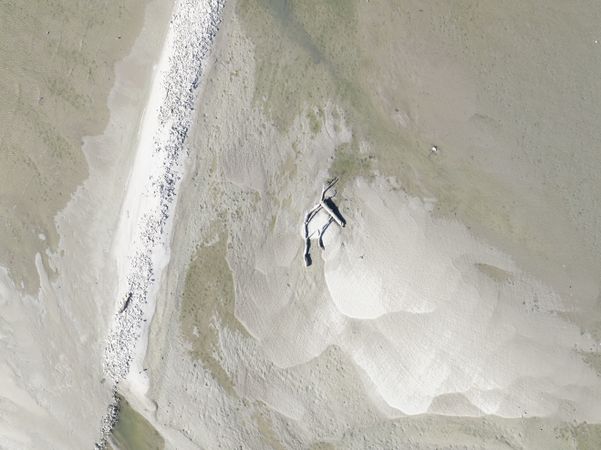 Desolate plain beach with a single dead branch.
