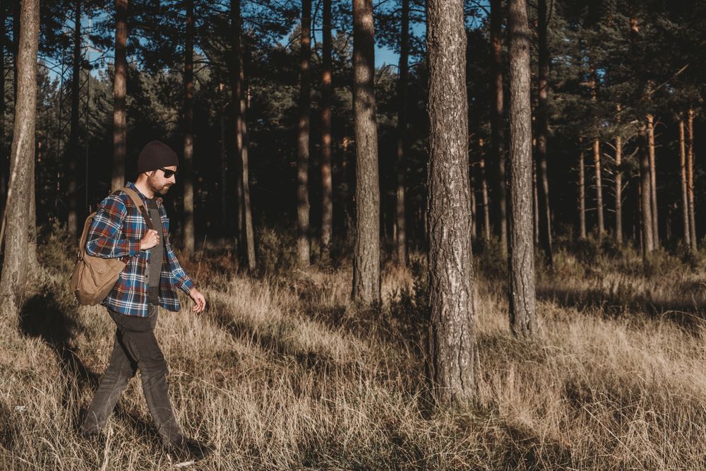 Confident tourist walking along autumn forest