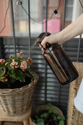 A woman's hand sprays flowers with water