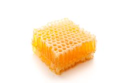 Piece of honeycomb isolated on plain background, close up