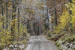 Savanna Lake Road in Savanna Portage State Park in McGregor, Minnesota copy