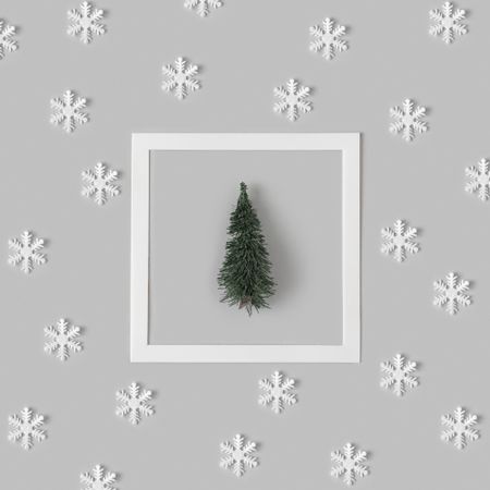 Holiday pattern with tree and snowflakes on gray background