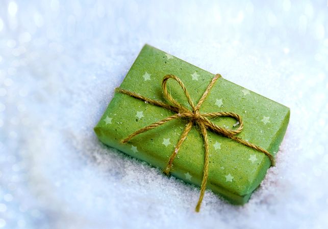 Green gift in snow