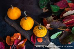 Board of decorative autumnal gourds 4Bzqk4
